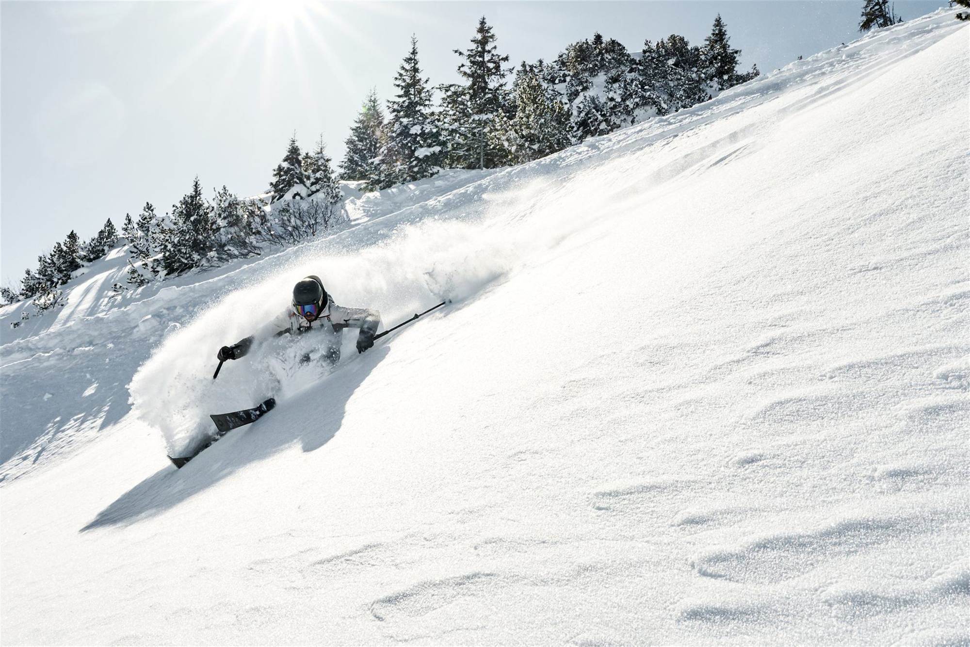 Freerider im Pulverschnee im Gegenlicht